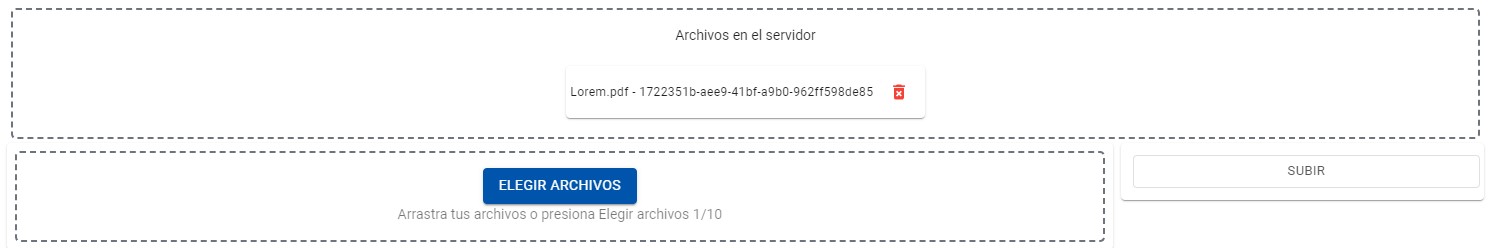 Ilustración 6 - Carga de Documentos